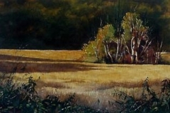 GOLDEN FIELD - 22 X 29 - WATERCOLOR - $500