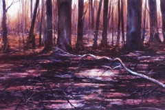 GROVE CITY SWAMP - 22 X 29 - WATERCOLOR - $450