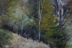 HILLSIDE VIEW - 18 X 22 - WATERCOLOR - $300