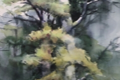IN-THE-FOREST-22-X-18-WATERCOLOR-350