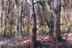 IN THE SPRING WOODS - 22 X 18 - WATERCOLOR - $300