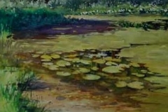 LILLY PADS - 18 X 22 - WATERCOLOR - $200