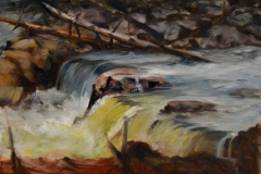 LITTLE FALLS - 12 X 16 - OIL - $400