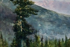 LONE PINE - 18 X 22 - WATERCOLOR - $200