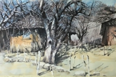 OLD-APPLE-TREE-22-X-29-WATERCOLOR-700