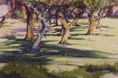 ORCHARD TREES - 18 X 22 - WATERCOLOR - $200