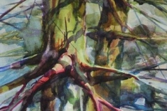 PINE COLORS - 29 X 22 - WATERCOLOR - $300