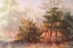 PINE-GROUP-18-X-22-WATERCOLOR-400