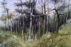 PINE-STAND-18-X-22-WATERCOLOR-400