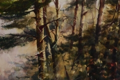 PINES - 22 X 29 - WATERCOLOR - $400