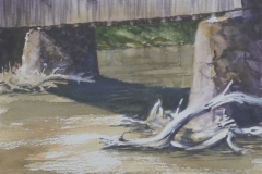 RIVER SNAG - 18 X 22 - WATERCOLOR - $300