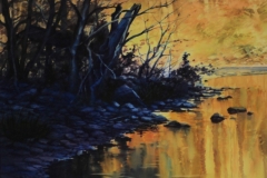 RIVER SNAG - 29 X 36 - WATERCOLOR - $700