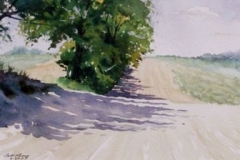 SHADOWS ON THE ROAD #2 - 18 X 22 - WATERCOLOR - $400