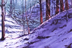 SNOW IN MORNING - 22 X 29 - WATERCOLOR - $500