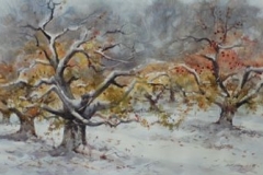SNOW IN THE ORCHARD - 22 X 29 - WATERCOLOR - $500