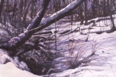 SNOW STUDY #3 - 18 X 22 - WATERCOLOR - $300