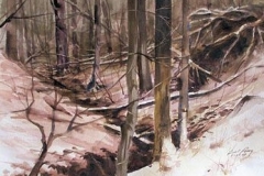 SNOW STUDY #5 - 18 X 22 - WATERCOLOR - $300