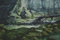 SPRING RUN #5 - 22 X 29 - WATERCOLOR - $400