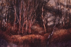 STAND OF TREES - 22 X 29 - WATERCOLOR - $400