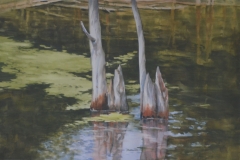 SWAMP - 18 X 22 - WATERCOLOR - $500