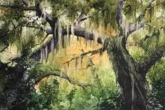 THAT-OAK-WATERCOLOR-22X29-400.00