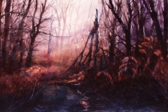 THE FALLEN TREE - 29 X 36 - WATERCOLOR - $500