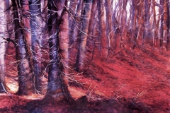 TREE ROW - 22 X 29 - WATERCOLOR - $400