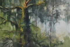 TREE TOP LIGHT - 22 X 18 - WATERCOLOR - $300.