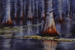 VIRGINIA SWAMP - 18 X 22 - WATERCOLOR - $400