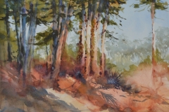 WARM LIGHT - 22 X 18 - WATERCOLOR - $300.