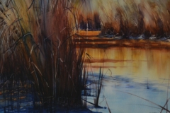 WATER GRASS - 22 X 29 - WATERCOLOR - $400