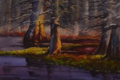 WILLIAMSBURG MORNING SWAMP - 18 X 22 - WATERCOLOR - $400