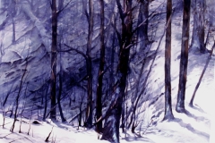 WINTER GULLY - 29 X 36 - WATERCOLOR - $600
