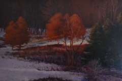 WINTER LANDSCAPE - 24 X 36 - OIL - $600