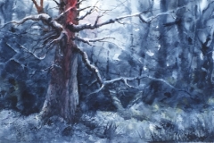 WINTER-LIGHT-22-X-29-WATERCOLOR-600