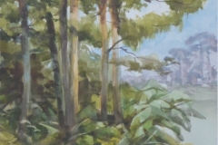 BY THE WATER - 22 X 18 - WATERCOLOR - $300
