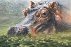HIPPO-39x25-MOUNTED-WATERCOLOR-800
