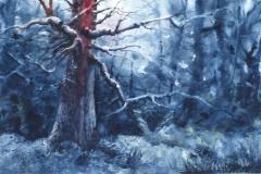 ICY-MORN-WATERCOLOR-14X21-MOUNTED-500