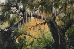 LIVE-OAK-29X36-WATERCOLOR-600