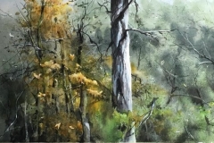 MAGGIE-VALLEY-2-14x18-MOUNTED-WATERCOLOR-400