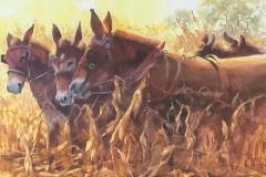MULE-POWER-WATERCOLOR-14X21-MOUNTED-600