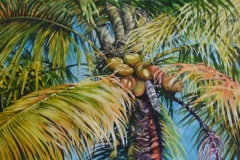 PALM-TOP-36-X-48-OIL-3000.