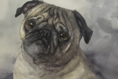 PUG-18-X-22-WATERCOLOR-400