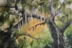 SPANISH-MOSS-22x29-WATERCOLOR-500