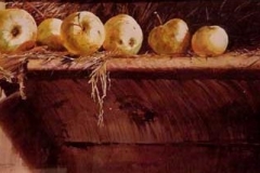 APPLES IN THE BARN - 22 X 29 - WATERCOLOR - $500