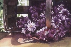 ASTERS - 22 X 29 - WATERCOLOR - $300