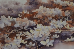 DOGWOOD #1 - 26 X 36 - WATERCOLOR - $600